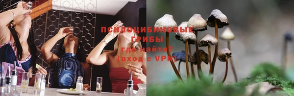 не бодяженный Беломорск